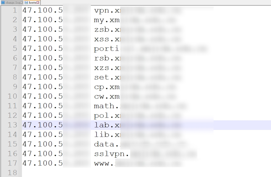 Server subdomains obtained through subdomain brute-force enumeration