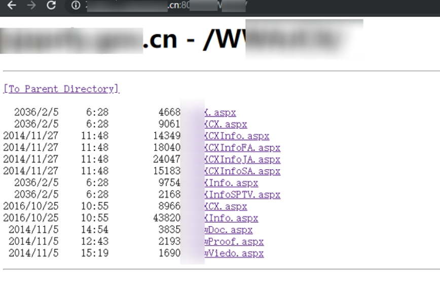 Use an automated sensitive-path scanning tool to search the host for sensitive directories and related information
